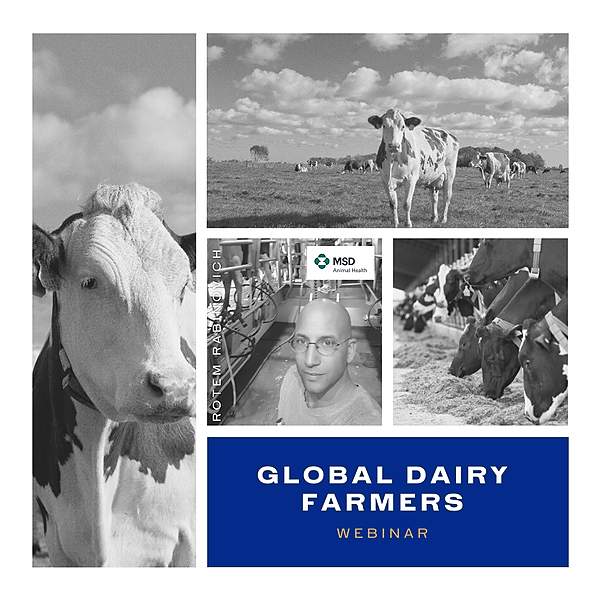 Global Dairy Farmers Twitter, Instagram, Facebook Linktree